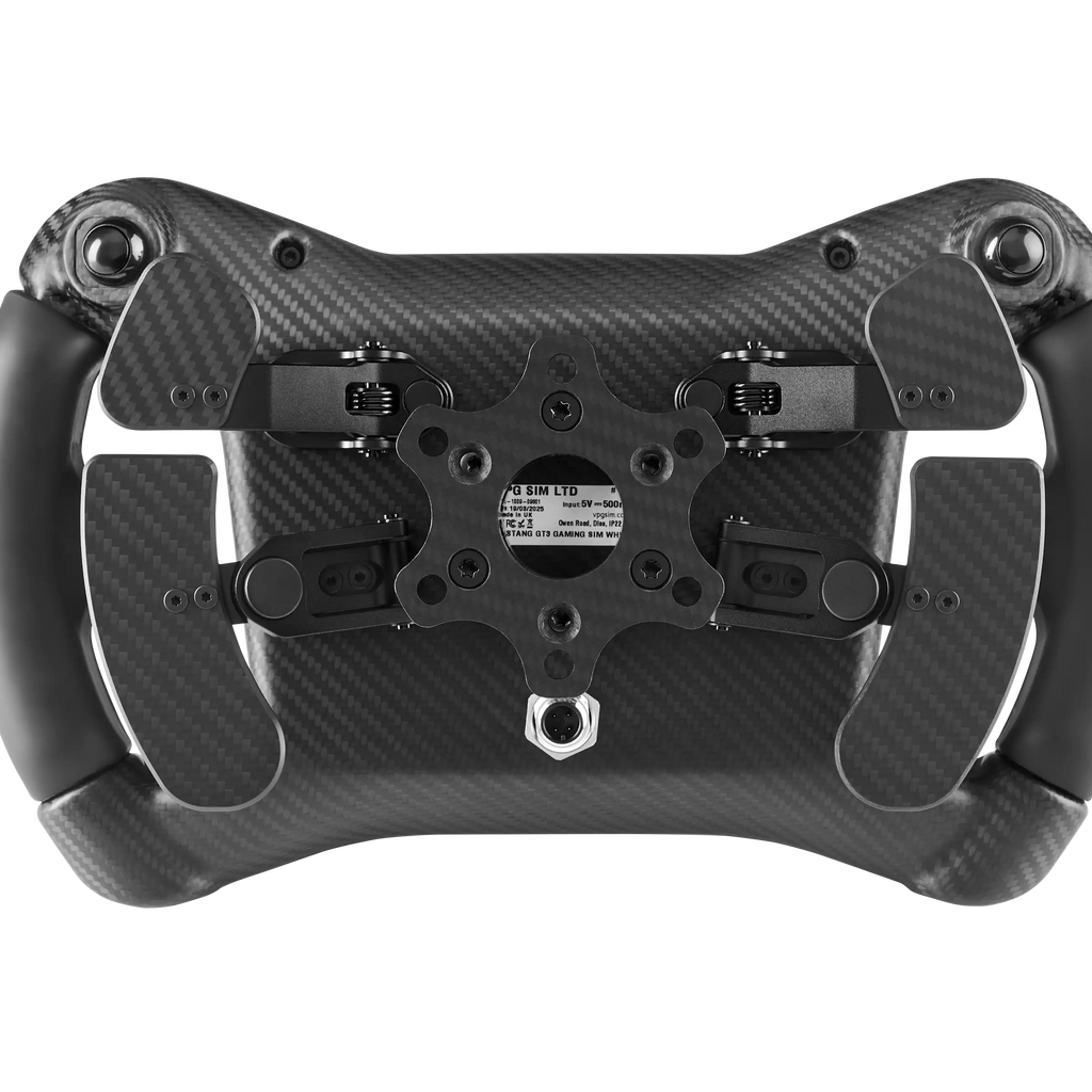 VPG Mustang GT3 from the rear with paddles